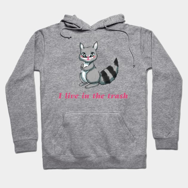 Trash Panda Hoodie by ThatDistantShore